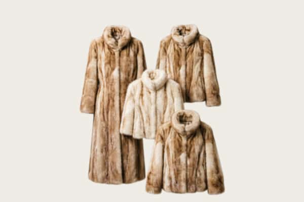 定远县回收皮草衣服